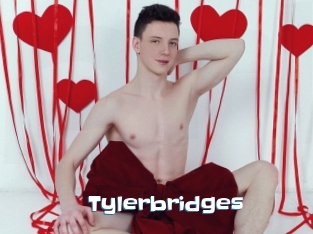 Tylerbridges
