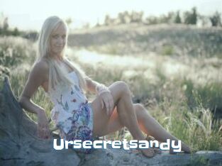 Ursecretsandy