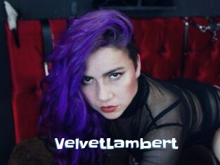 VelvetLambert