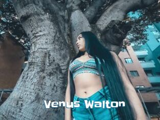 Venus_Walton