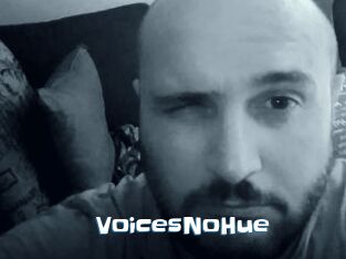 VoicesNoHue