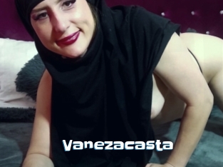 Vanezacasta