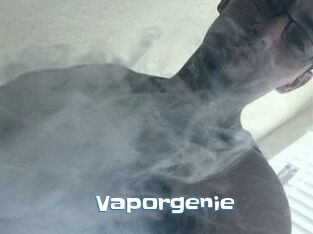 Vapor_genie