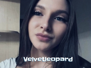 Velvetleopard