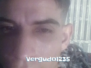 Vergudo1235
