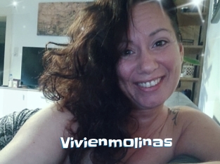 Vivienmolinas
