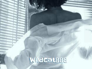 WildCat888