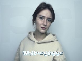 Whitneyfigge
