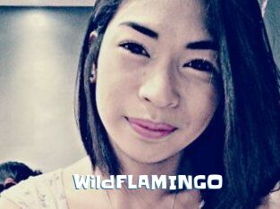 WildFLAMINGO