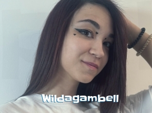 Wildagambell