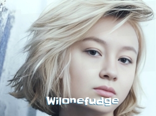 Wilonefudge