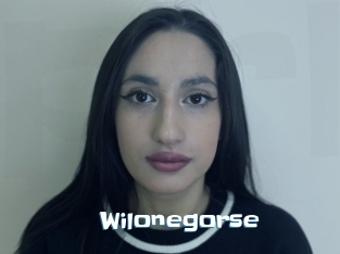 Wilonegorse