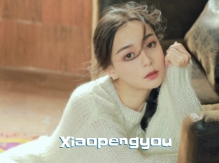 Xiaopengyou