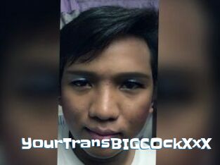 YourTransBIGCOckXxX