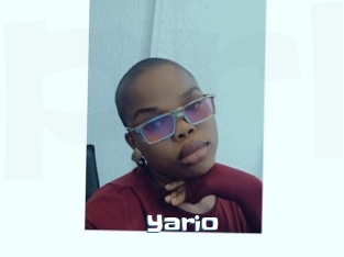 Yario